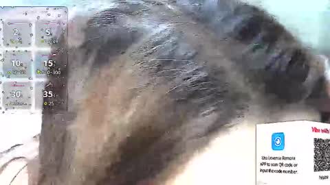 1nakedneighbor stream preview