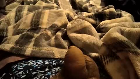 69angel96 live stream