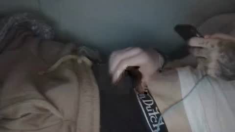7hardd stream preview
