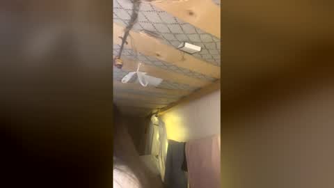 _sweetfelicity_ stream preview