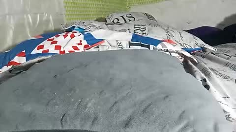 adam_x256 stream preview