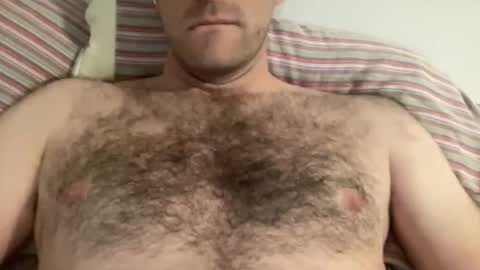 alan_k2212 stream preview