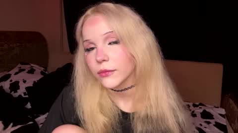 alicauwumeow stream preview