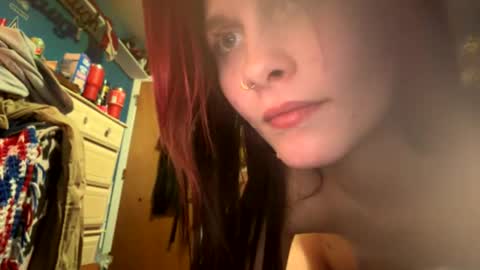 alilsteppa live stream