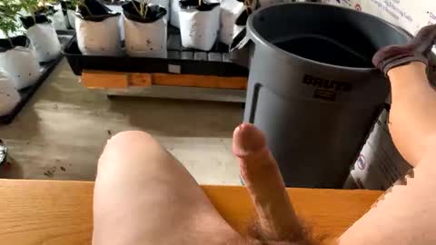 allupinyadeep stream preview