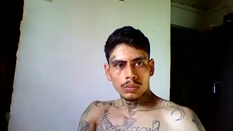 alpha_zom stream preview