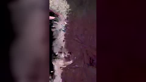 amandaboo1989 stream preview