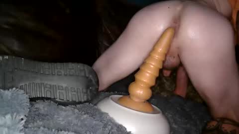 anal_prince69 stream preview