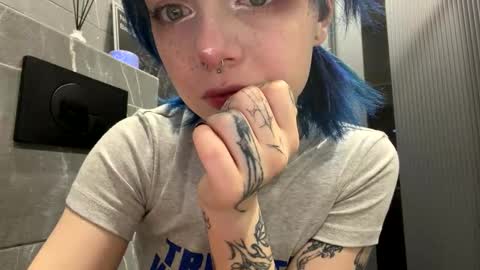 anclis stream preview