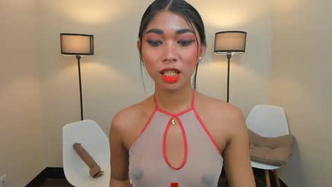 andreajane69 stream preview