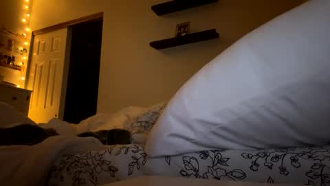 anna804903 live stream