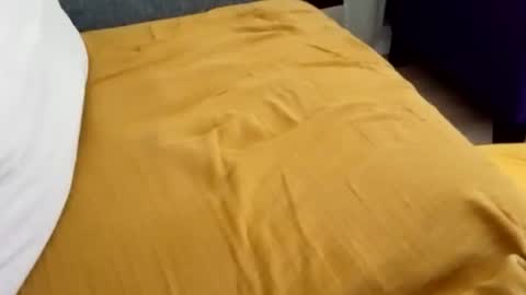 anthovrd34130 stream preview