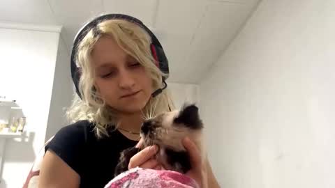 ashelyparcell stream preview