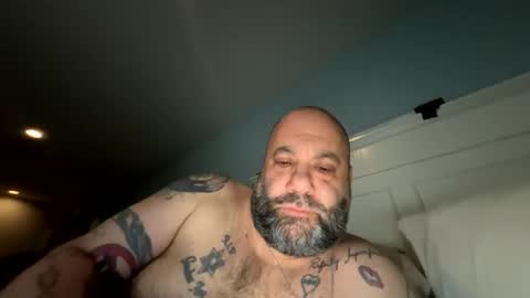 asilnjd stream preview