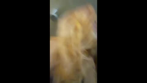 baddiebb098 stream preview