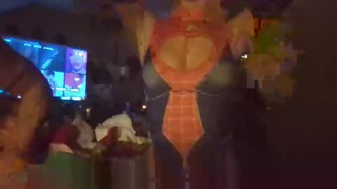 bambigreen live stream