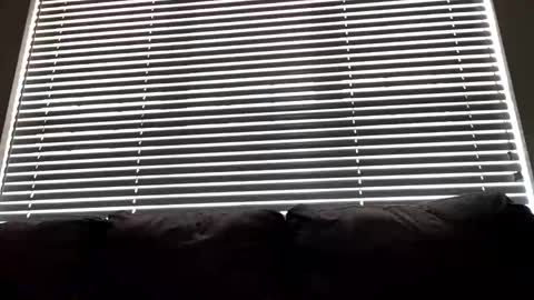 barbie11251 live stream