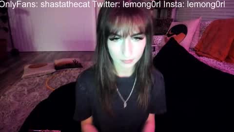 bbshasta stream preview