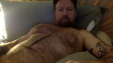 beewolf25 live stream