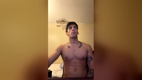 bian03 stream preview