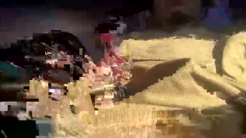 bigdt695 stream preview