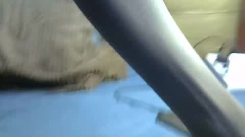 blaqboi_ live stream