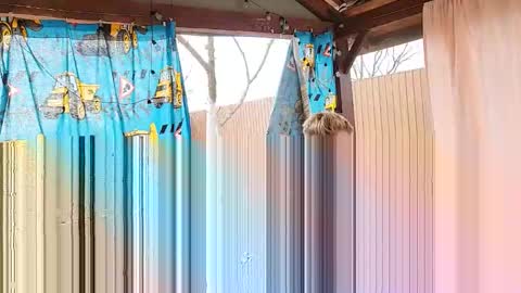 blond_boy69 live stream