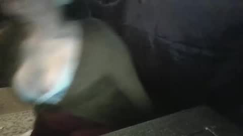 blueberrygirrl stream preview