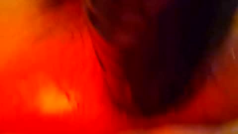 bonnie312 live stream