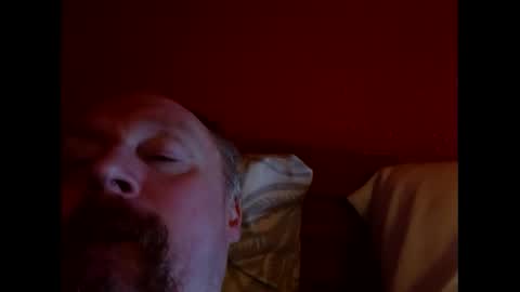 bonzoband stream preview