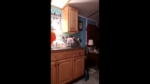 bossusaround live stream