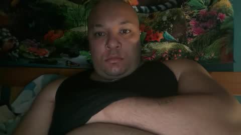 brad_368 stream preview