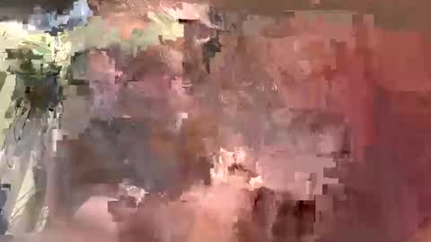 brat4life86 stream preview