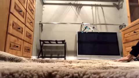 bratmxr stream preview