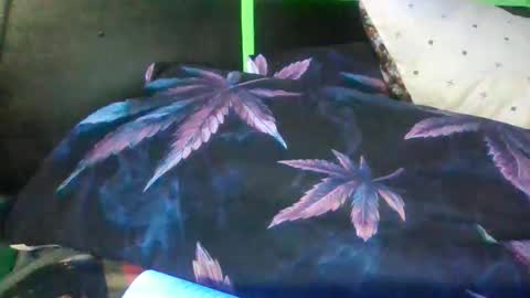 breezy0125 stream preview