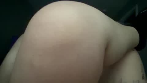 bridgedsddy stream preview