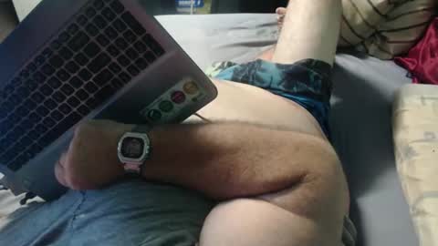 brischubbycubby stream preview