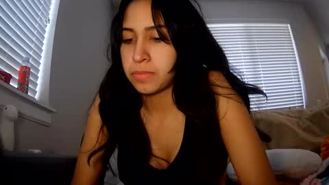 brownbunny212 stream preview