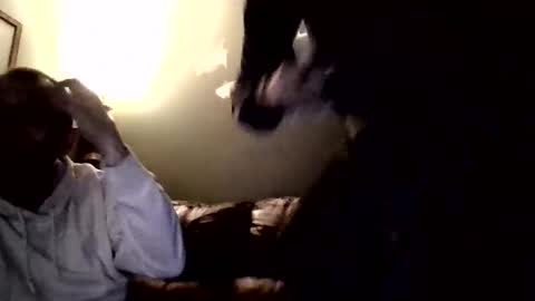 brucer0517 stream preview