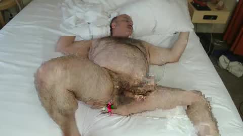 bullmusclejoe live stream