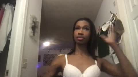 bumblebreee stream preview