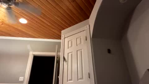 bungalowentertainment live stream