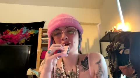 cactiwandering stream preview