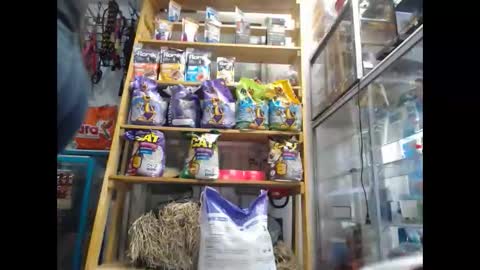 cami_cam69 live stream