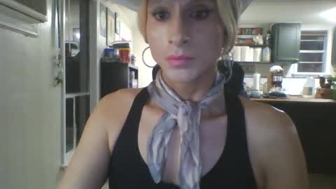 camilicat stream preview