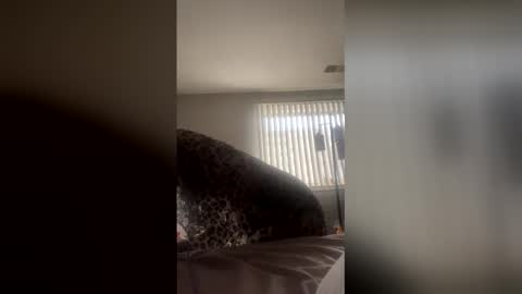 candylips2kiss live stream