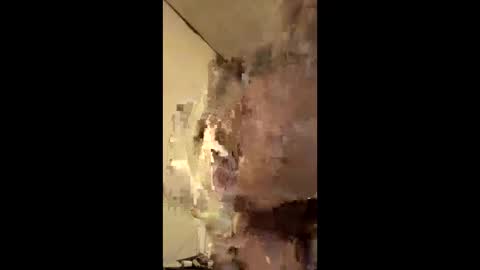 cashbunny0 live stream