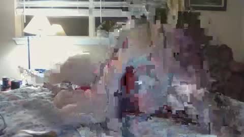 catcountant stream preview