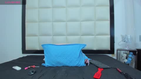 cattalina_25 stream preview