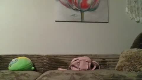 cheyennechavelle live stream